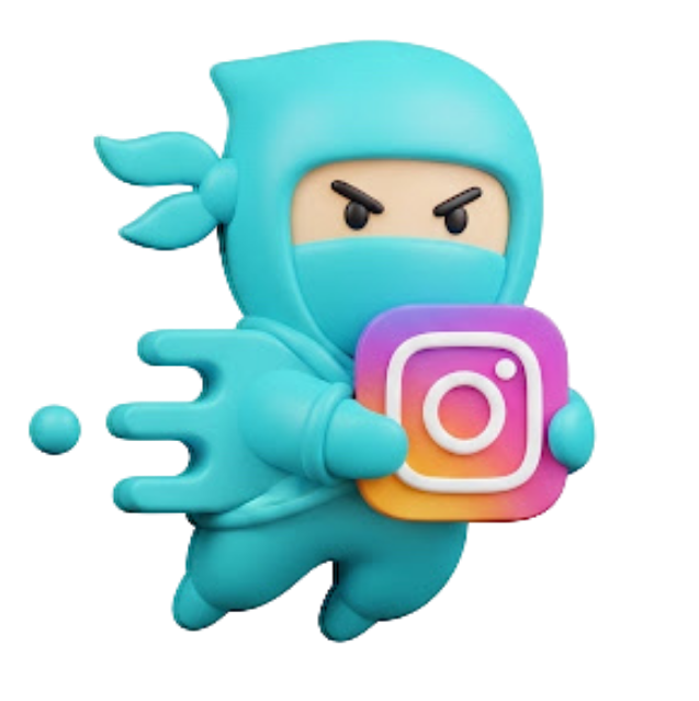 DM Ninja